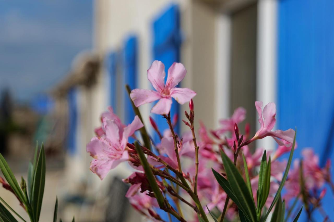 Moulin De Mauzac Bed and Breakfast Saint-Just-Luzac Εξωτερικό φωτογραφία