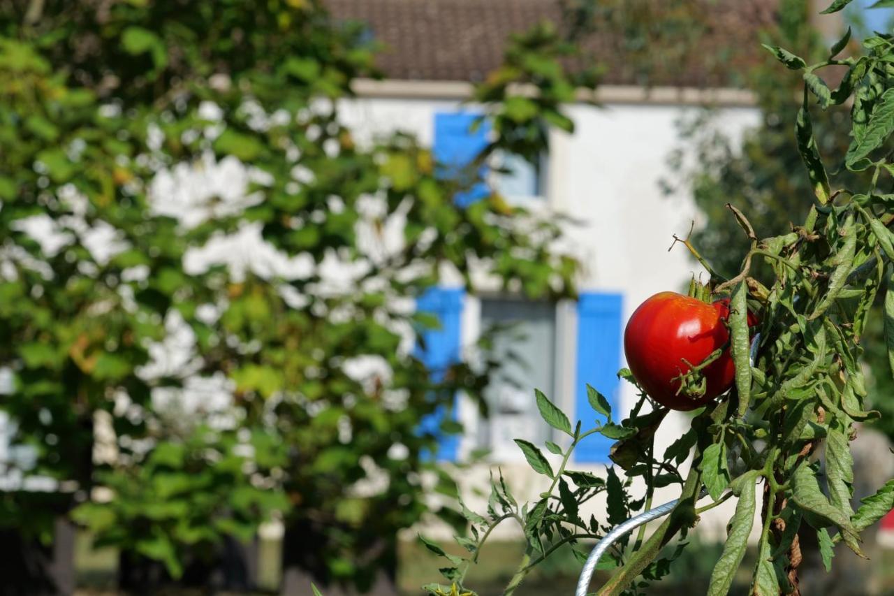 Moulin De Mauzac Bed and Breakfast Saint-Just-Luzac Εξωτερικό φωτογραφία